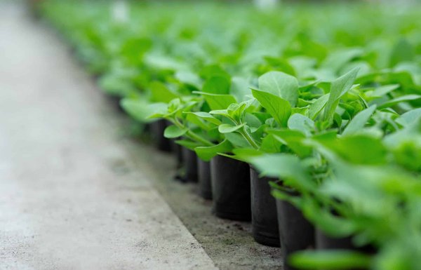 les étapes pour créer une culture d'entreprise axée sur l'innovation